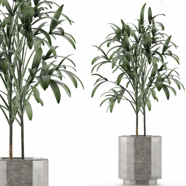 single plant 06 3D Model .c4d .max .obj .3ds .fbx .stl .blend 