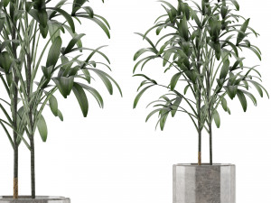 single plant 06 3D Model