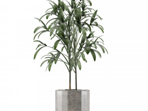 single plant 06 3D Model