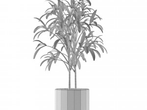 single plant 06 3D Model