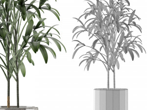 single plant 06 3D Model
