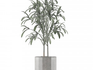 single plant 06 3D Model