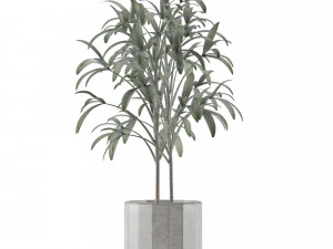 single plant 06 3D Model
