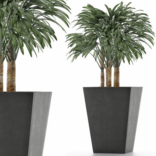 single plant 07 Modelo 3D .c4d .max .obj .3ds .fbx .stl .blend 