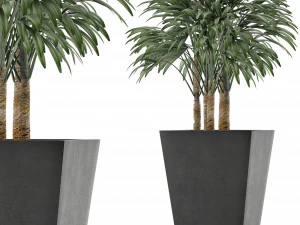 pojedyncza roślina 07 Model 3D