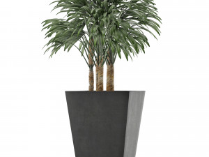 single plant 07 Modelo 3D