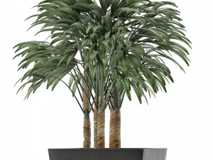 single plant 07 Modelo 3D