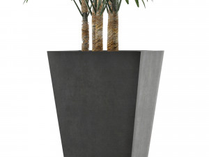 single plant 07 Modelo 3D