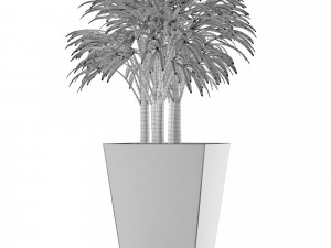 single plant 07 Modelo 3D