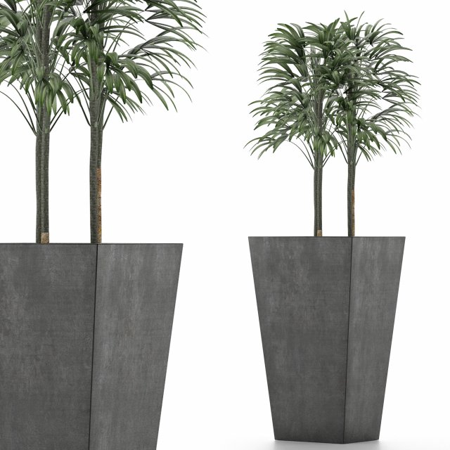 single plant 08 3D Модель .c4d .max .obj .3ds .fbx .stl .blend 