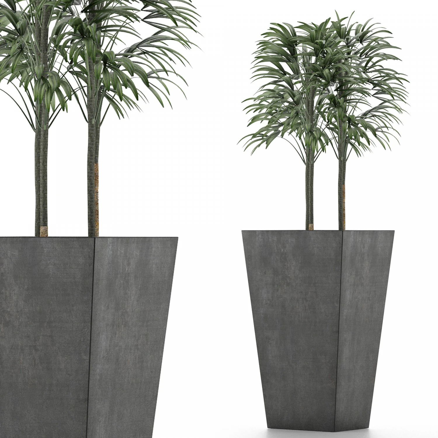 single plant 08 3D Model .c4d .max .obj .3ds .fbx .stl .blend 