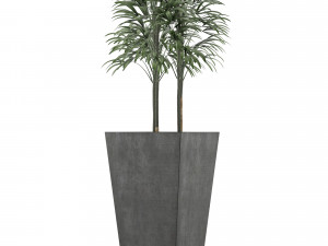 single plant 08 3D Модель