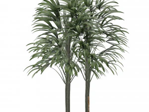 single plant 08 3D Model