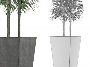 single plant 08 3D Модель