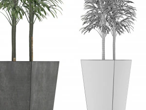 single plant 08 3D Model