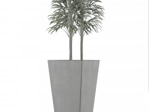 single plant 08 3D Model