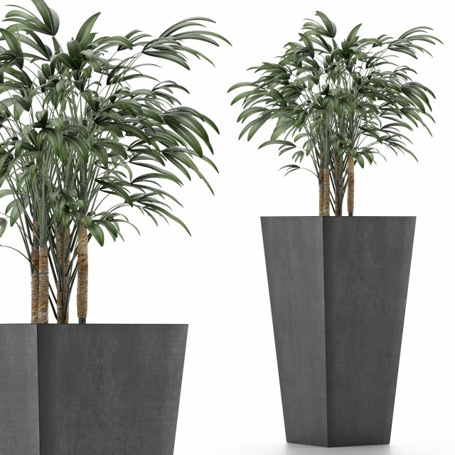 single plant 09 Modello 3D .c4d .max .obj .3ds .fbx .stl .blend