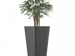 single plant 09 Modello 3D