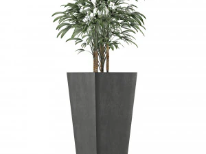 single plant 09 3D Model