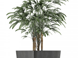 single plant 09 Modello 3D