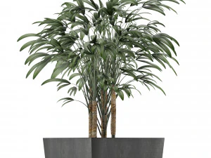single plant 09 3D Model