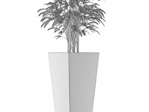 single plant 09 3D Model