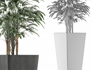 single plant 09 Modello 3D