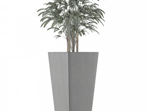 single plant 09 Modello 3D