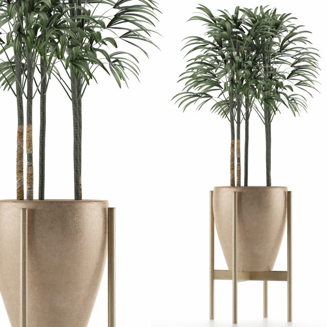 single plant 10 Modelo 3D .c4d .max .obj .3ds .fbx .stl .blend