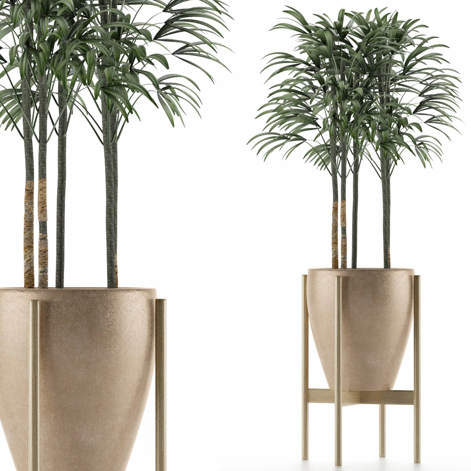 single plant 10 3D Model .c4d .max .obj .3ds .fbx .stl .blend 
