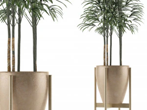 одно растение 10 3D Модель