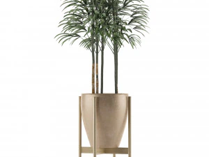 single plant 10 3D Model