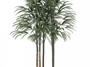 single plant 10 Modelo 3D