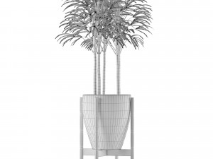 single plant 10 Modelo 3D