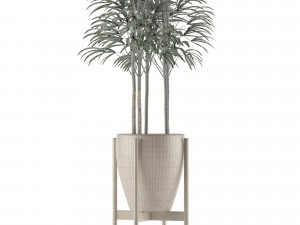 single plant 10 Modelo 3D