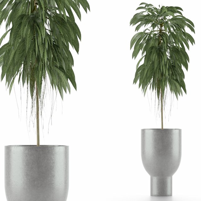 single plant 11 3D 模型 .c4d .max .obj .3ds .fbx .stl .blend 