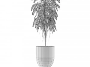 single plant 11 3D Model