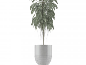single plant 11 3D 模型