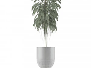 single plant 11 3D Model