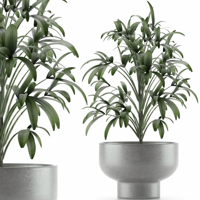 single plant 12 3D मॉडल .c4d .max .obj .3ds .fbx .stl .blend 