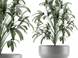 single plant 12 Modèle 3D