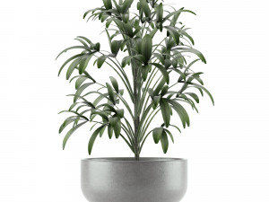 single plant 12 3D मॉडल