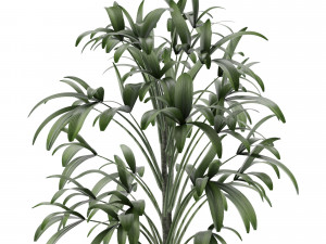 single plant 12 3D मॉडल
