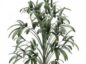 single plant 12 3D Model