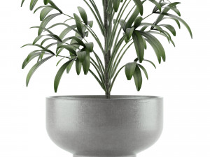 single plant 12 3D मॉडल