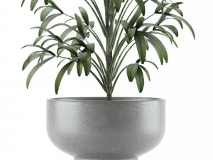 single plant 12 3D Model