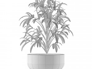 single plant 12 3D मॉडल