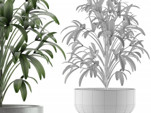 single plant 12 3D मॉडल