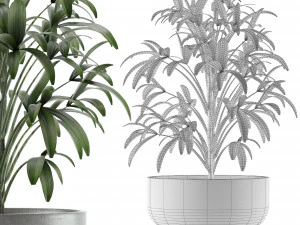 single plant 12 3D Model