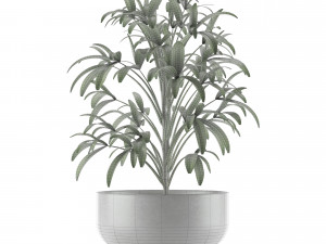 single plant 12 3D मॉडल